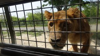 バスで回るのがおすすめ！