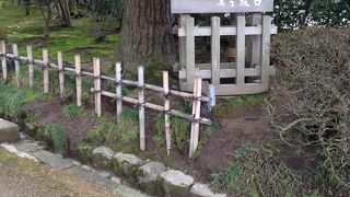 心をいやすならここがお勧めです