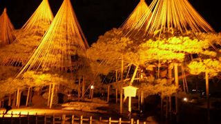 雪吊りの兼六園