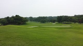 美しく、面白いコース