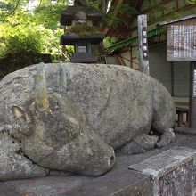 ご利益のある撫で牛