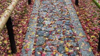 庭が美しいです