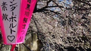 やはり桜の時期に