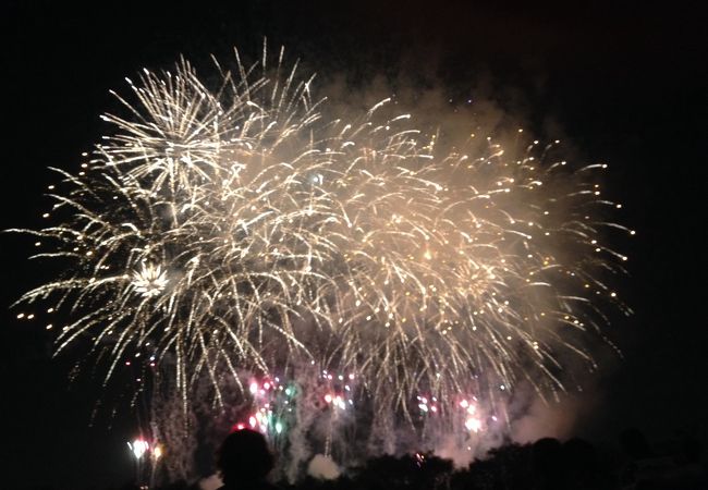 東京の花火 クチコミ人気ランキングtop18 フォートラベル