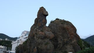 見ようによっては確かにゴジラです