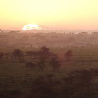 サバンナの日の出