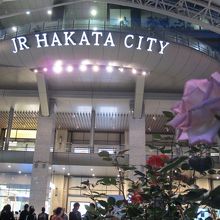 オシャレです☆