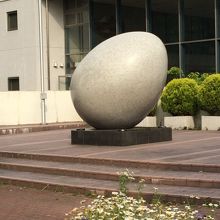 大きな卵です。