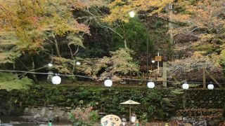 たぬきが待ってます