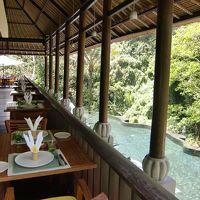 敷地内のプールとカフェ