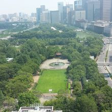 目の前のビルから公園を撮影しました。