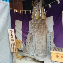 神木のクスノキの祠