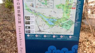 パワースポットとしても知られている井の頭恩賜公園弁才天