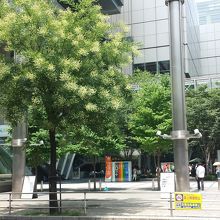 有楽町駅前側の国際フォーラム。