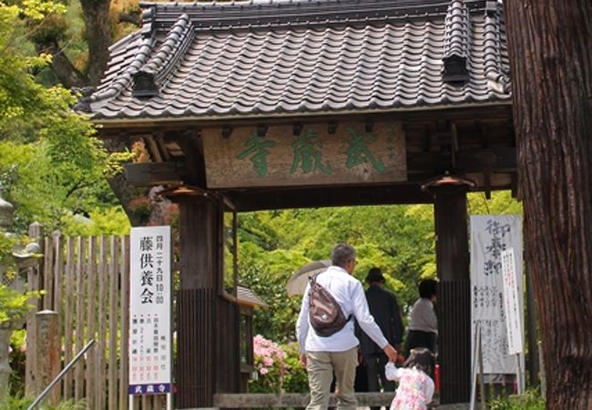 二日市温泉藤まつり