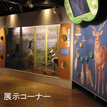 ２階展示コーナーその２