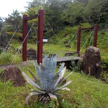 小野洞砂防公園の吊り橋。