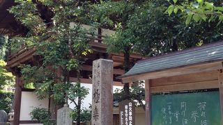 夏の城崎で涼をあじわう