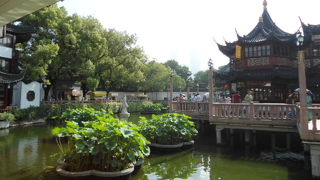 綺麗な中国庭園