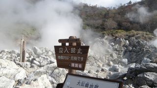 自然の営み此処にあり