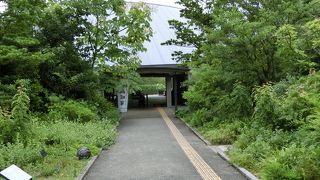 植物図鑑の植物園