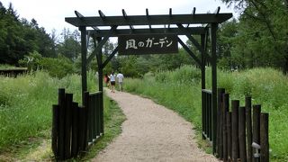 ちょっと想像よりがっかりでした