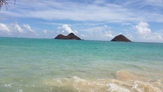 全米ナンバーワン！