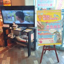 いろんな店があります