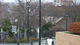 アフタヌーンティーがいただけます