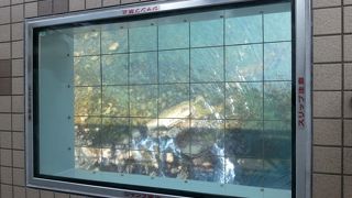 橋の構造を観るのもおすすめ