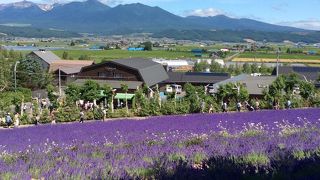 すごい人でした。