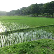 横浜にある田園風景