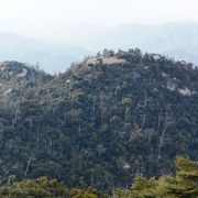 目立つ岩の頂