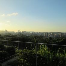 福岡の景色を一望　福岡ドームが見えます