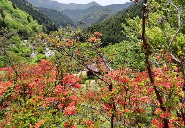 荒滝キャンプ場