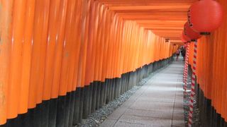 鳥居で有名な神社です