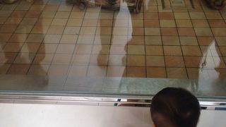 ショーが最高！