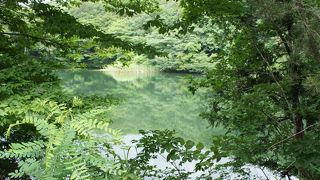 青い森と湖に癒される