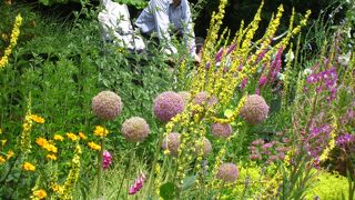 ドラマは見ていなかったのですが