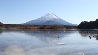 パノラマ台から富士山を見よう
