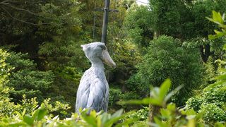 ビルくんに会えました！