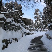 冬は雪が積もることもあります。