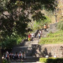 この階段を登ってゆきます