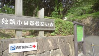 自然観察の森