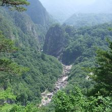 夏の渓谷は深い緑ですが、秋は紅葉が魅力