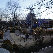 園内イルミネーション