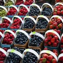 並んだフルーツが綺麗です。