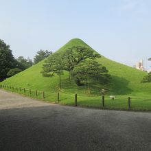 「冨士山」を裾野からパチリ