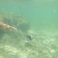 ホテル前のビーチ