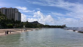 気に入りました